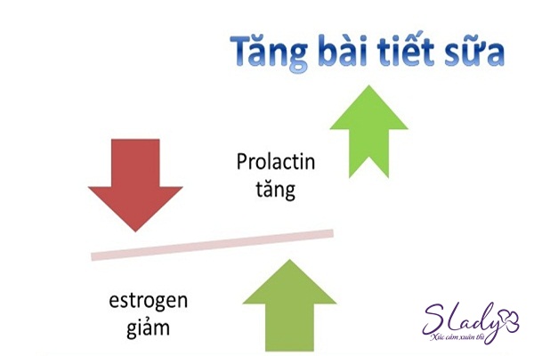 Sự gia tăng Prolactin gây ức chế sản sinh estrogen, khiến âm đạo bị khô rát sau sinh