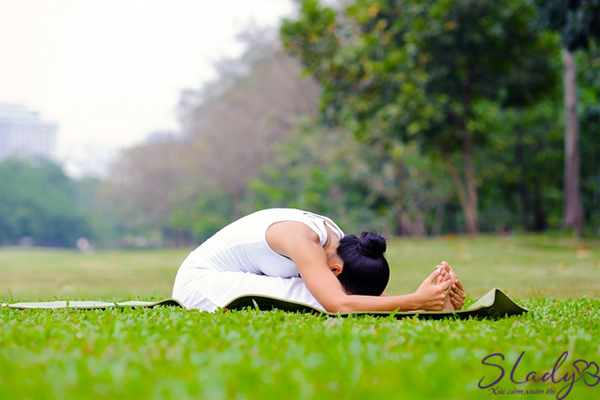 5 tư thế YOGA cho phụ nữ tiền mãn kinh - Xua tan nỗi lo “Xế chiều”