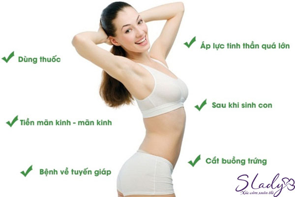 Ăn gì để tăng nội tiết tố nữ? Đối tượng cần tăng cường estrogen