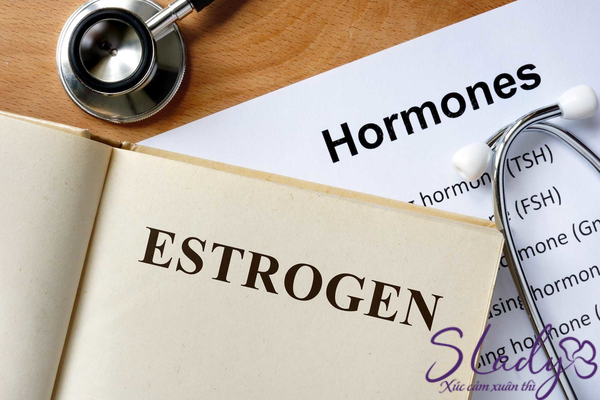 Hormone estrogen là gì? Nó có vai trò, tác dụng ra sao với phụ nữ?