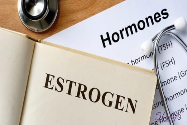Estrogen và u xơ tử cung có mối quan hệ mật thiết với nhau