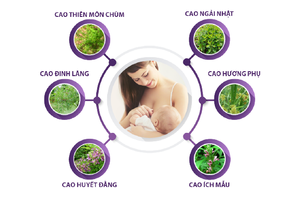 Thành phần của viên uống nội tiết SLady