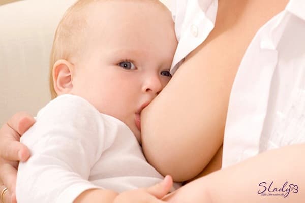 Sau khi sinh ăn quả sung rất tốt cho sức khỏe, lợi sữa cho con