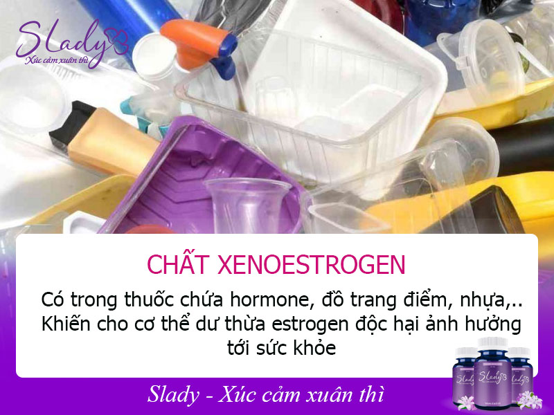 Loại bỏ những vật dụng chứa chất Xenoestrogen